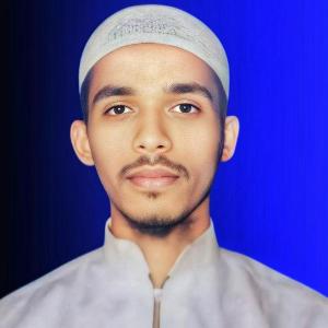 Mamun Sadi image