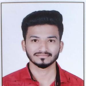 Bharat Phulzalke image