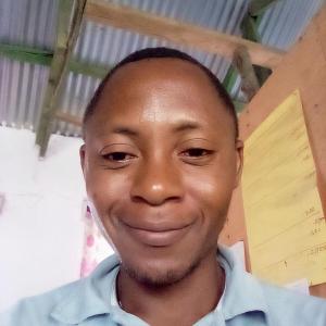 Festus image