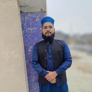 Hasnain Rayeen image