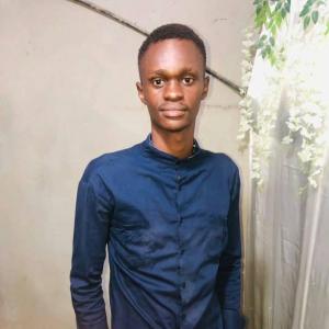 Agostinho Martins Francisco image