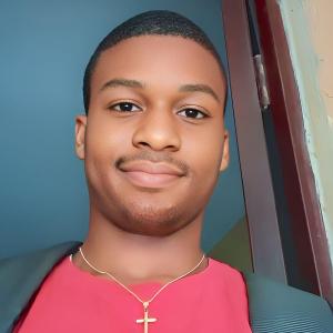 Oladigbolu Ayomide Emmanuel image
