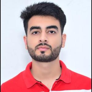 Sanchit image