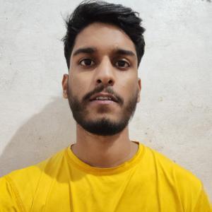 Ashish Baghel image