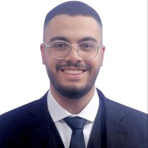 Karim Fathy image