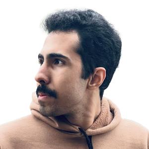 Morteza image