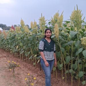 Rachana B image