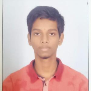 Navatej Bhaskaruni image