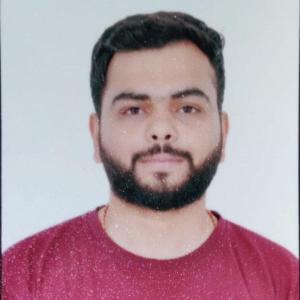 Parth Mehta image