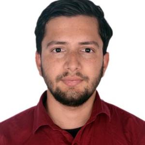 Bibek Dulal image
