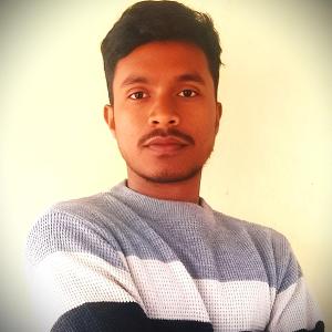 Anubrata Halder image