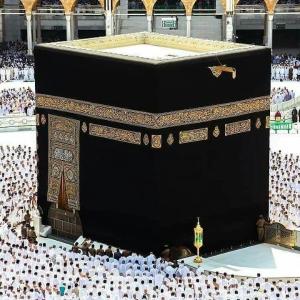Fatema Samadi image