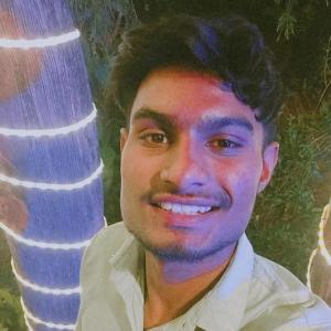 Vipin image