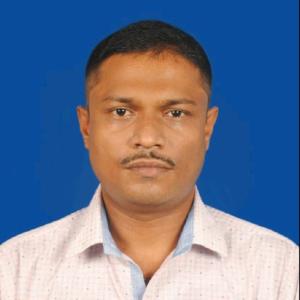 Pratap Roy image