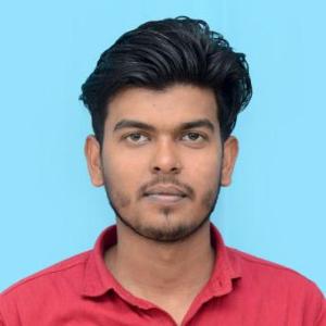 Akhilesh Ray image