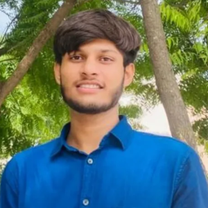 Priyanshu Pal image