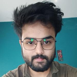 Romit Bhattacharya image