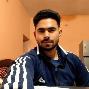 Rahul Sangral image