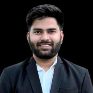 Ravi Kumar Meena image