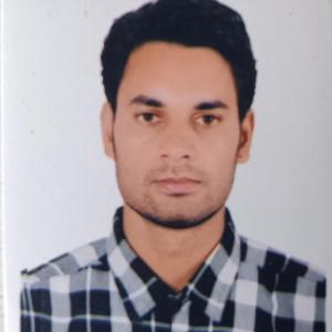 Raj Yadav image