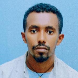Gebremariyam image