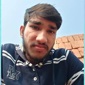 Aditya Raj image