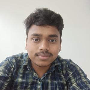 Nayan image