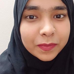 Ameena Bi image