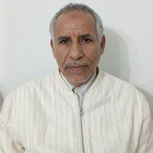 Bashir image