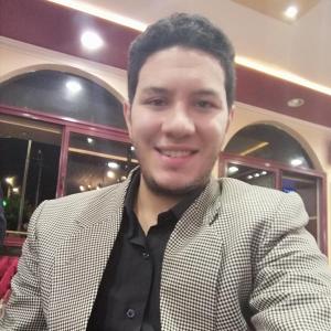Mahmoud Gad image