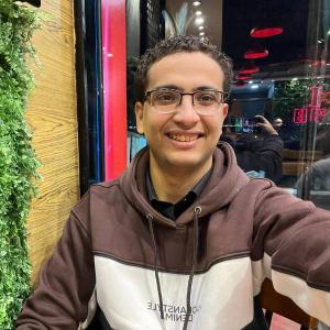 Mohamed Elhenawy image