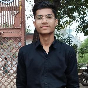 Abhay Prajapati image