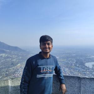 Ritik Goyal image