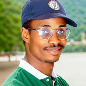 Idowu David image