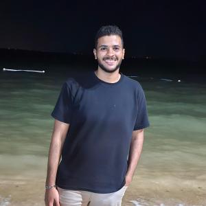 Mina Mamdoh image