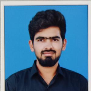 Ravindra Naik image