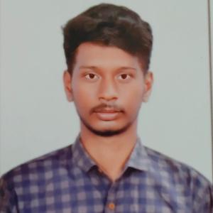 Dhamim Ansari J image