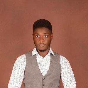 James David Bolaji image