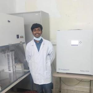 A Gowri Sankaran image