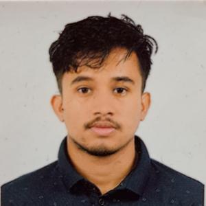 Bishwa Pangeni image