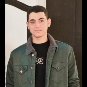 Ahmed image