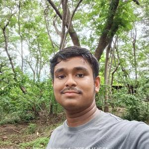 Somesh Ghosh image