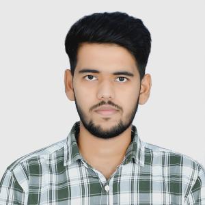 Sarswat Kumar image