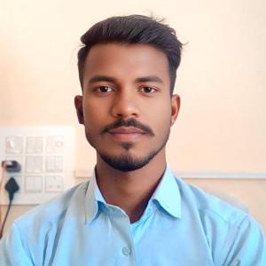 Ravishankar Kumar image