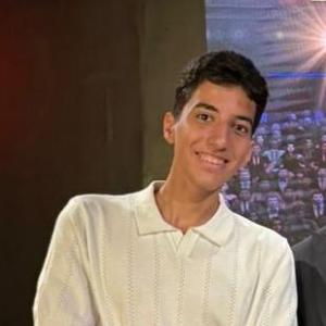 Amr Hussein image