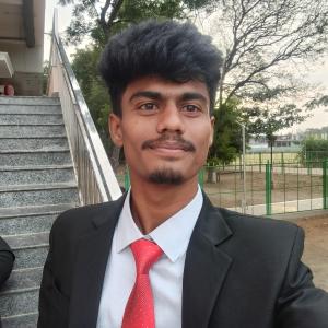Denis Raj image