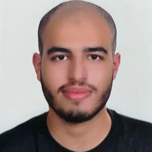 Hossam Hassan image