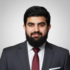 Haider Ali image