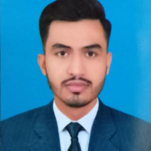 Sheraz Munir image