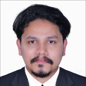 Ronaldo M Mathew image